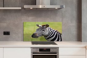 Szklany Panel Zebra w Naturalnym Środowisku