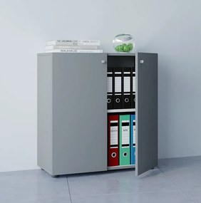 Szafka biurowa z kartoteką Lona 2-krotna