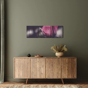 Obraz - Detal kwiatu róży (z zegarem) (90x30 cm)