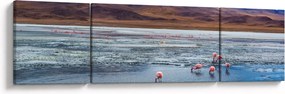 Obraz - Flamingi (170x50 cm)