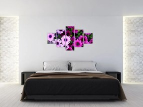 Obraz - Kwiaty (125x70 cm)