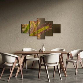 Obraz rośliny (125x70 cm)