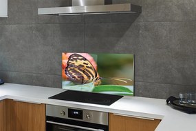 Panel Kuchenny Szklany Samotny Motyl w Locie