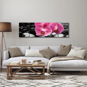 Obraz - Różowe orchidee (170x50 cm)