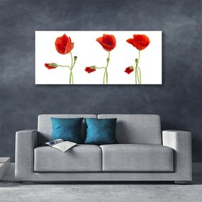 Obraz canvas na ścianę Czerwone Maki w Słońcu