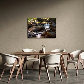 Obraz skalistego strumienia (70x50 cm)