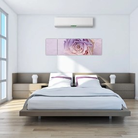 Obraz szczegółu kwiatu róży (170x50 cm)