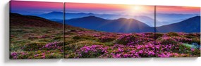 Obraz - Krajobraz kwitnących gór (170x50 cm)
