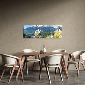 Obraz - Wiosna w Alpach (z zegarem) (90x30 cm)