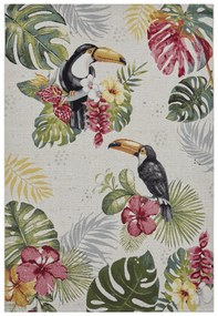 Dywan zewnętrzny Flair Tropical kremowy 80 cm x 165 cm