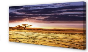 Fotoobraz na płótnie Chmury i Drzewa na Niebie