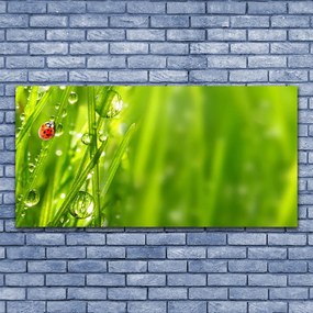 Obraz canvas Biedronka na Zielonym Źdźble