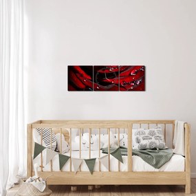 Obraz - Detal róży (z zegarem) (90x30 cm)
