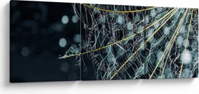Obraz - Kwiat z pajęczyną (z zegarem) (90x30 cm)