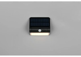 Zewnętrzna solarna lampa ścienna LED (wysokość 12 cm) Olinda – Trio