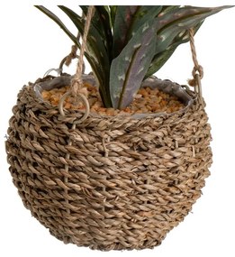 Sztuczna roślina (wysokość 25 cm) – Casa Selección