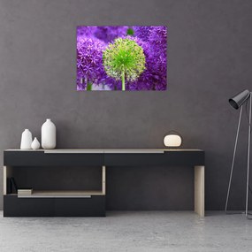 Obraz na szkle - kwiat (70x50 cm)
