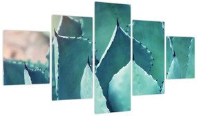 Obraz - Sukulent (125x70 cm)