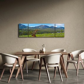 Obraz - Jeleń na łące (170x50 cm)