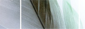 Obraz - Pióra, makro (170x50 cm)