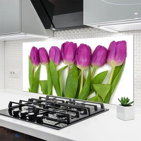 Panel Kuchenny Wiosenne Pole Tulipanów