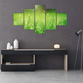 Obraz - rosa na trawie (125x70 cm)