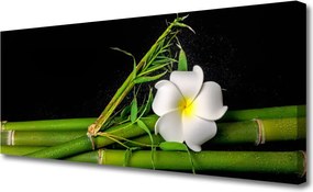 Obraz na płótnie Orientalny Kwiat Bambusa