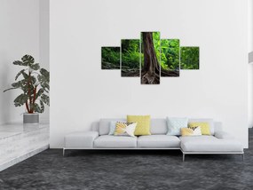 Obraz - Stare drzewo z korzeniami (125x70 cm)
