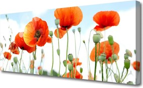 Obraz drukowany na płótnie Dzika Łąka Pełna Maków