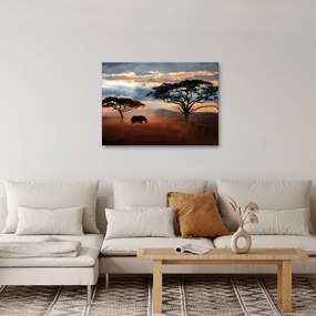 Obraz - Park Narodowy Serengeti, Tanzania, Afryka (70x50 cm)