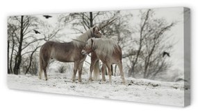 Obraz na płótnie Las zima jednorożce