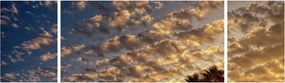 Obraz - palmy pośród chmur (170x50 cm)
