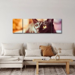 Obraz czarnego kota (170x50 cm)