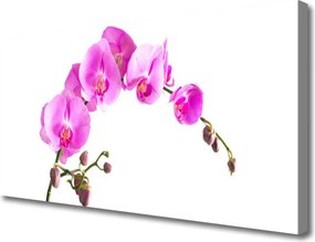 Obraz canvas Wyrafinowany Ogród Botaniczny