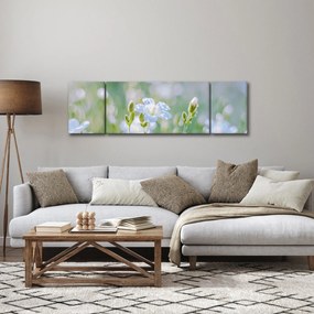 Obraz - Delikatne kwiaty (170x50 cm)