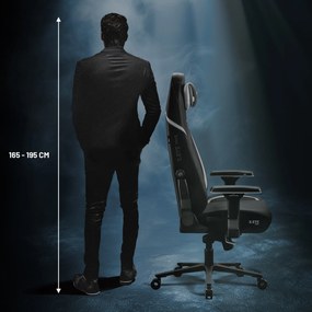 Fotel gamingowy Diablo X.Eye Prime, Normal Size, Burned Black