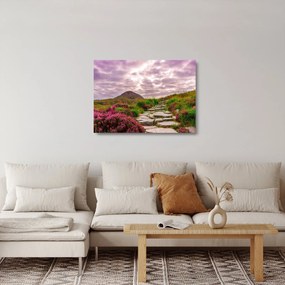 Obraz na szkle krajobrazu (70x50 cm)