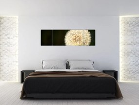 Obraz szarego dmuchawca (170x50 cm)