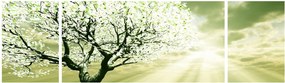 Obraz drzewa na łące (170x50 cm)