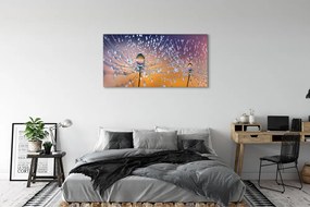 Obraz na płótnie Rosa na Parasolkach Dmuchawca