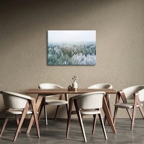 Obraz - Ośnieżone szczyty lasów (70x50 cm)