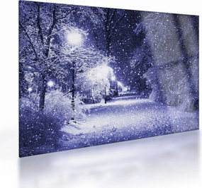Obraz na szkle - Magiczna zimowa noc (70x50 cm)