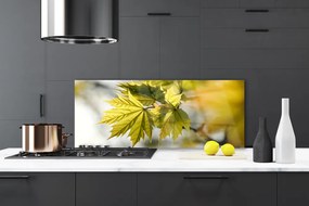 Panel Kuchenny Świeże Liście W Przybliżeniu