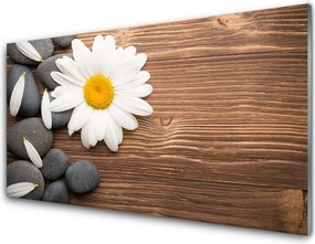 Panel nad blat kuchenny Biała Stokrotka W Detalu