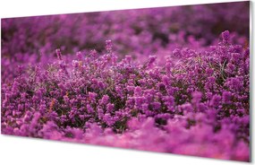 Panel Kuchenny Szklany Malownicze Wrzosowisko