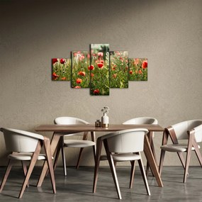 Obraz maków (125x70 cm)