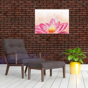 Obraz na szkle kwiatu lotosu (70x50 cm)