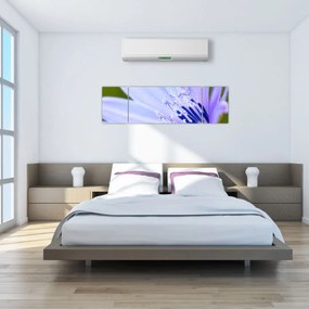 Obraz - Kwiat (170x50 cm)