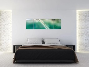 Obraz źdźbła trawy (170x50 cm)