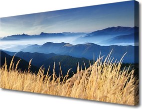 Obraz na płótnie Złociste Łany Zboża